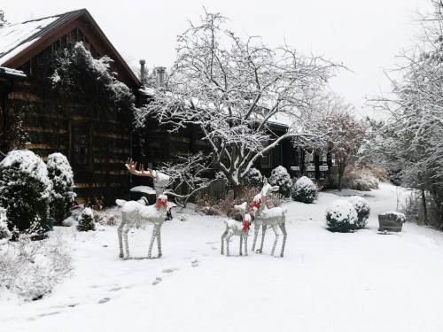 A snowy landscape featuring a rustic house, decorated reindeer, and snow-covered trees and shrubs.