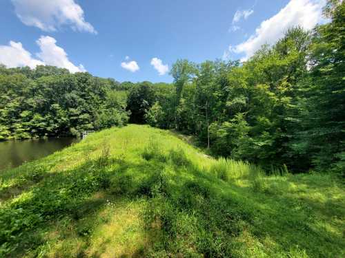 A lush green landscape with a river, surrounded by trees under a bright blue sky with fluffy white clouds.