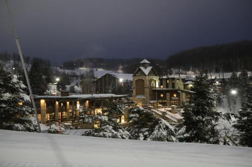 A snowy landscape at night featuring a lodge surrounded by trees and illuminated ski slopes in the background.