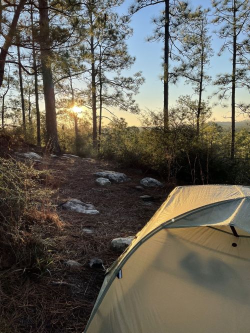 A tent set up in a forest at sunrise, surrounded by trees and rocky ground, with soft sunlight filtering through.