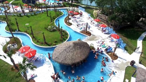 Aerial view of a winding pool area with palm trees, lounge chairs, and a thatched-roof cabana.