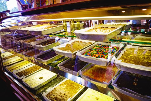 A display case filled with various colorful fudge and dessert trays, showcasing a variety of flavors and toppings.