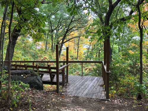 A wooden observation deck surrounded by trees with autumn foliage, overlooking a natural landscape.