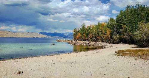 A serene beach scene with calm water, sandy shore, and trees displaying autumn colors under a cloudy sky.