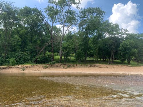 A serene riverbank with clear water, sandy shore, and lush green trees under a blue sky with fluffy clouds.