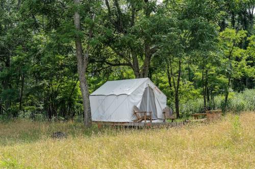A white canvas tent on a wooden platform, surrounded by tall grass and trees in a natural setting.