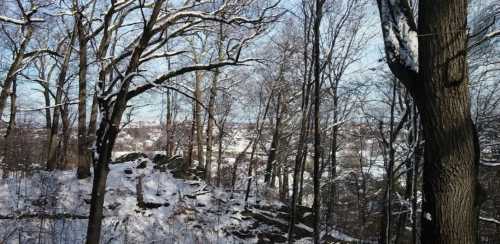 A snowy landscape with bare trees and rocky terrain, overlooking a distant town under a clear blue sky.