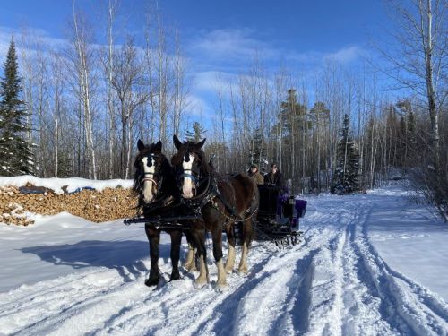 Two horses pull a sled through snowy terrain, with a person riding in the sled and trees in the background.