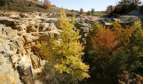 A rocky canyon surrounded by trees displaying autumn colors under a clear blue sky.