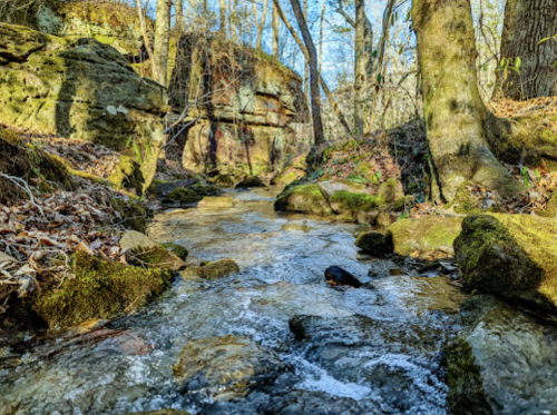 A serene stream flows through a wooded area, surrounded by moss-covered rocks and trees under a clear blue sky.