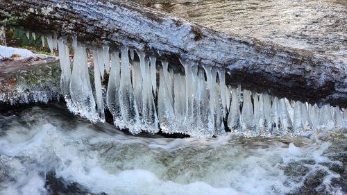 Icicles hang from a log over a flowing stream, surrounded by winter scenery.