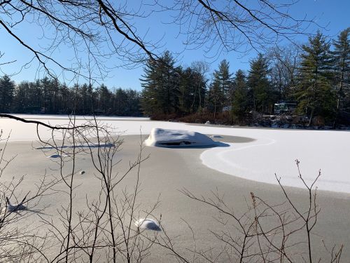 A serene winter scene of a frozen lake surrounded by trees, with snow-covered land and clear blue skies.