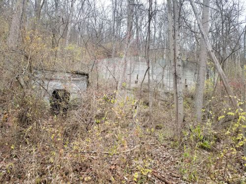 Abandoned concrete structure partially hidden by overgrown vegetation in a wooded area.