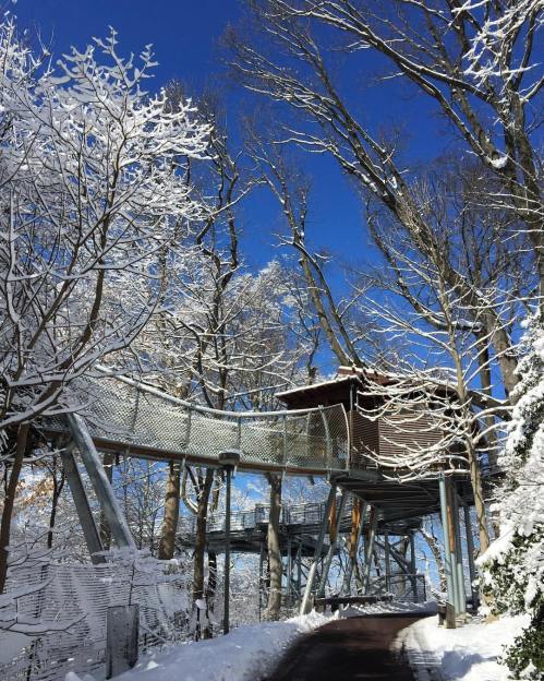 A snowy landscape featuring a treehouse structure surrounded by bare trees and a clear blue sky.