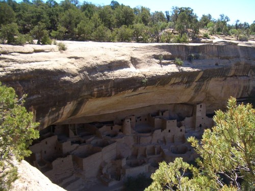 Ancient cliff dwellings nestled under a rocky overhang, surrounded by trees and natural landscape.