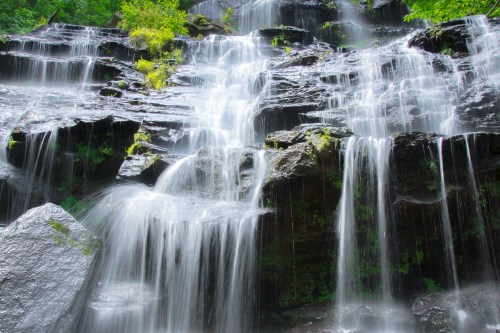 A cascading waterfall flows over dark rocks, surrounded by lush green foliage.