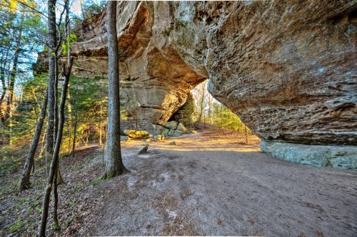 A scenic view of a rocky arch surrounded by trees and a dirt path in a forested area.