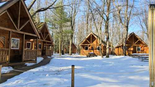 A winter scene featuring wooden cabins surrounded by snow and trees, with picnic tables in the foreground.