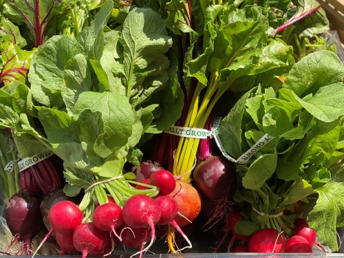 A variety of fresh, colorful radishes and leafy greens displayed in a market setting.