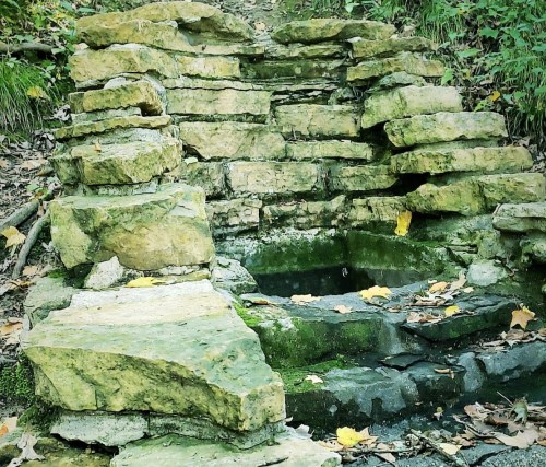 Stone steps leading to a small, moss-covered pool, surrounded by greenery and fallen leaves.