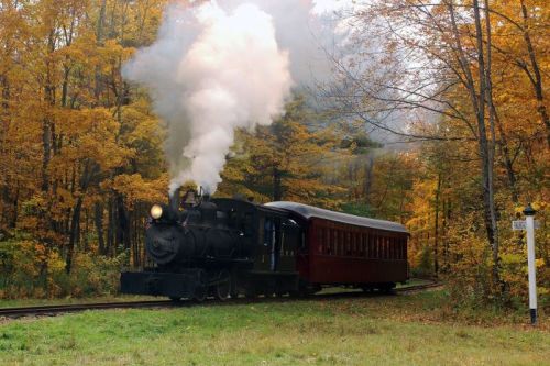 A vintage steam train chugs through a forest of vibrant autumn leaves, with smoke billowing from its chimney.