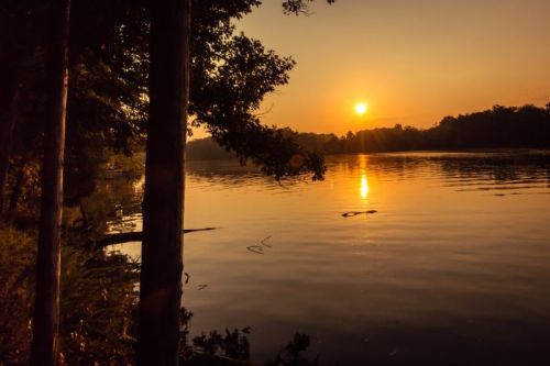 Sunset over a calm lake, with trees framing the scene and warm golden hues reflecting on the water's surface.