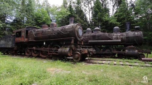 Two rusty, abandoned steam locomotives surrounded by greenery, showcasing their weathered details and vintage design.