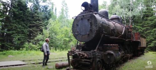 A person stands beside an old steam locomotive in a forested area, surrounded by greenery and trees.