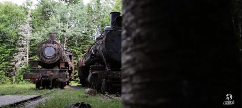 Two rusted steam locomotives surrounded by lush greenery in a forested area.