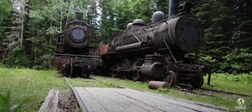 Two old steam locomotives rusting in a forest, surrounded by greenery and wooden tracks.