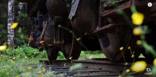 Close-up of an old train wheel on rusty tracks, surrounded by vibrant wildflowers in a lush green forest.