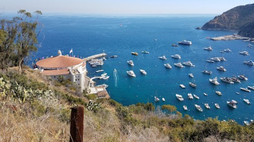 A scenic view of a harbor filled with boats, surrounded by hills and clear blue water under a sunny sky.