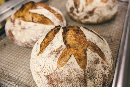 Three round loaves of crusty bread with flour dusting, resting on a wire rack.