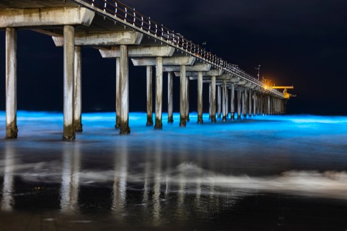A pier extends over glowing blue waves at night, with lights illuminating the structure and water below.