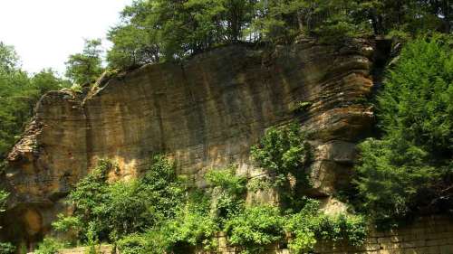A rocky cliff surrounded by lush green trees and vegetation under bright sunlight.