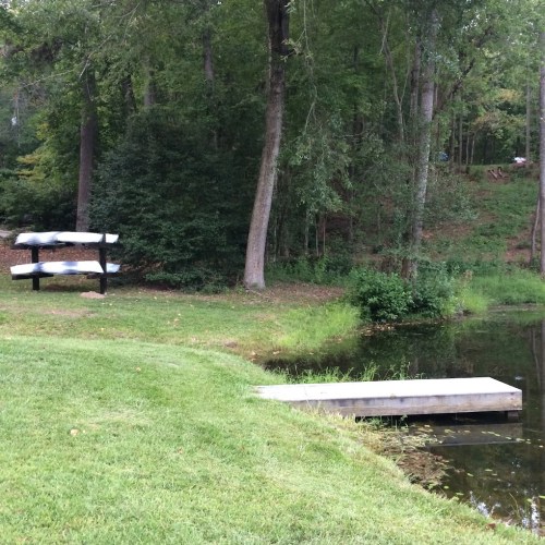 A serene park scene featuring a bench near a pond, surrounded by trees and lush greenery.