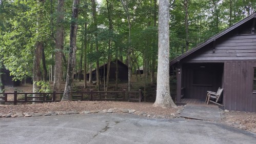 A serene forest scene featuring rustic cabins surrounded by trees and a gravel path.