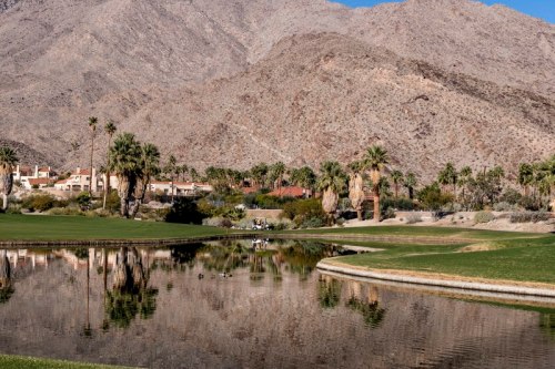 A serene golf course with palm trees and a mountain backdrop, reflecting in a calm pond.