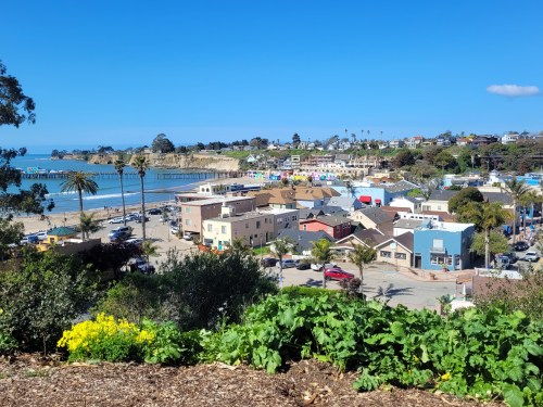 A coastal view of a colorful town with houses, palm trees, and a pier under a clear blue sky.
