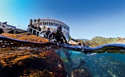 Divers prepare to enter the water near rocky shores, with a building visible above the surface under a clear blue sky.