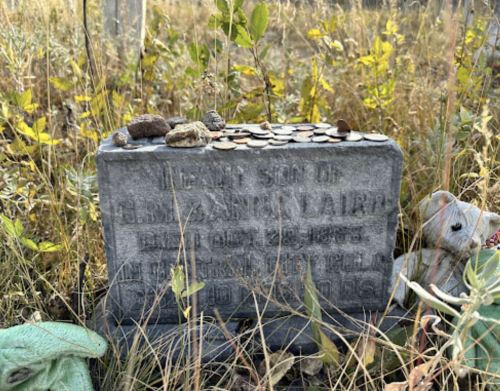 A weathered gravestone surrounded by grass and small stones, honoring the son of F. & A. Laird, dated 1883.