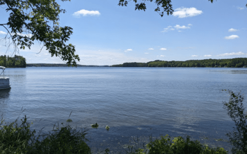 A serene lake view with calm water, surrounded by green trees and a clear blue sky with fluffy clouds.