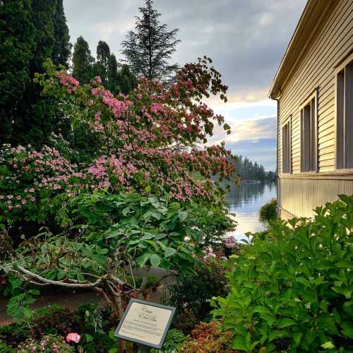 A serene lakeside scene with blooming flowers and lush greenery beside a wooden building under a clear sky.