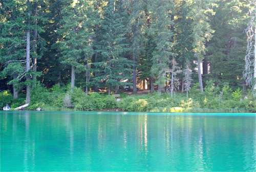 A serene lake surrounded by lush green trees, reflecting the vibrant colors of nature.