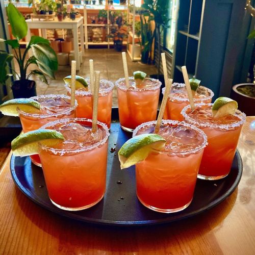 A tray of eight colorful cocktails with lime wedges and salt rims, surrounded by greenery in a vibrant setting.
