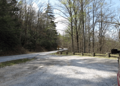 A gravel road curves through a wooded area with sparse trees and a clear blue sky.