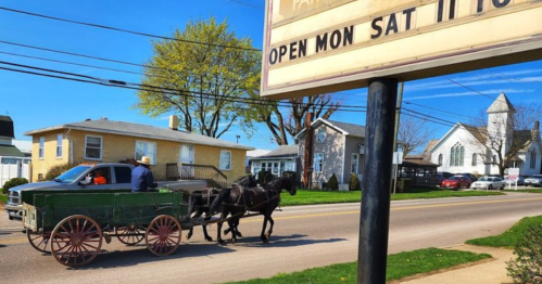 A horse-drawn carriage travels down a sunny street, with houses and a church in the background. A sign indicates business hours.