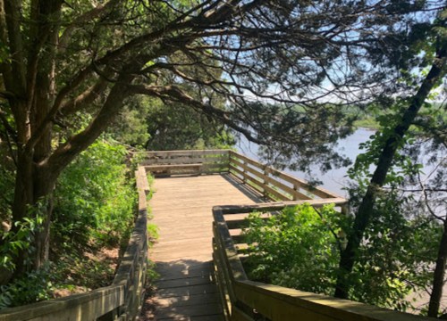 A wooden walkway leads to a scenic overlook by a river, surrounded by lush greenery and trees.