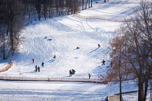 A snowy hill with people sledding and playing in the snow, surrounded by trees and a wooden fence.