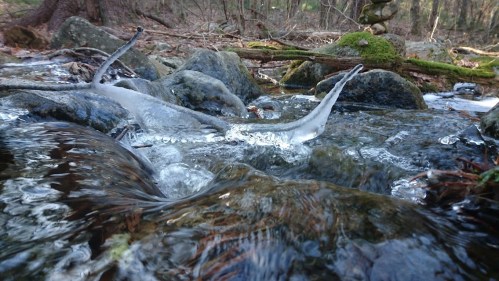 A close-up of a stream with flowing water and ice formations on rocks, surrounded by a forested landscape.